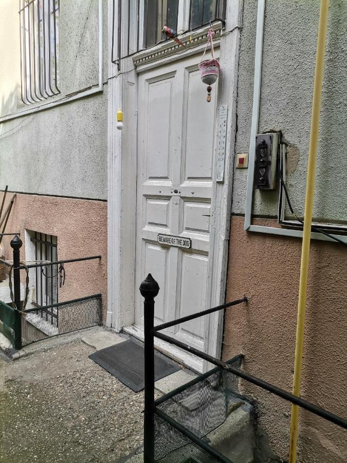 Flat In Historic Villa With Your Own Private Garden, Near City Park Budapeste Exterior foto